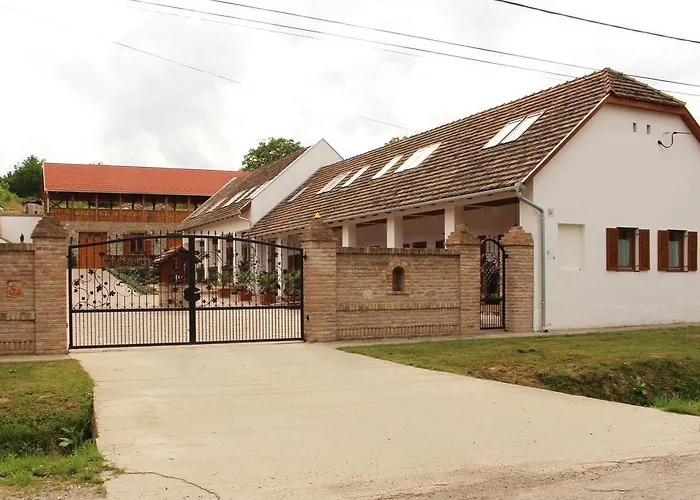 Hehl Pince Panzio Guest house 3*