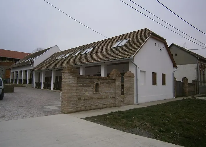 Hehl Pince Panzio Villany
