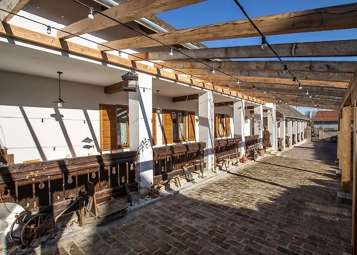 Hehl Pince Panzio Villany